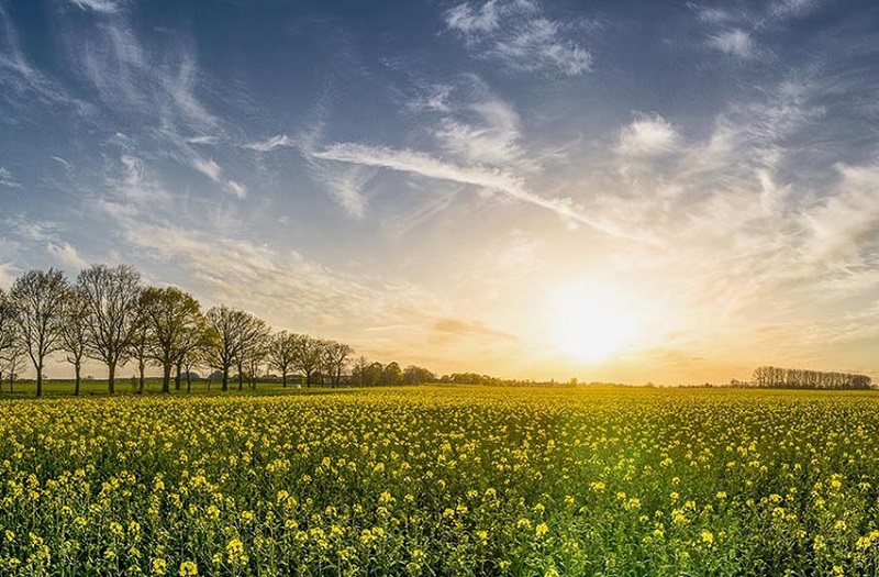 Yoga - Licht der Selbst-Erkenntnis
